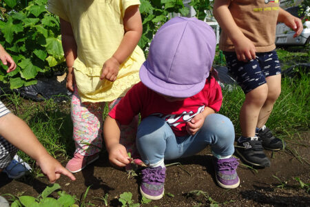 夏の０，１，２歳児♪
